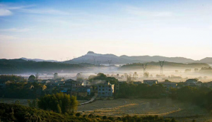 沐浴暖陽(yáng)